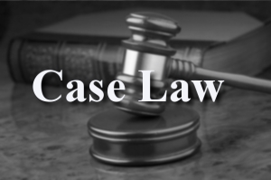 Case Law Precedents